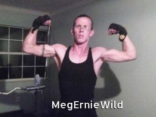 MegErnieWild My Porno Stash