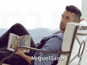 MiguelSanto