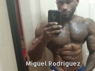 Miguel_Rodriguez