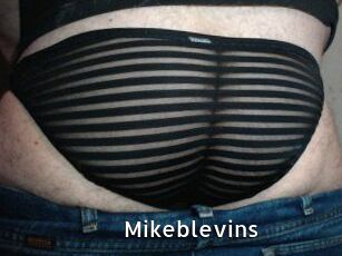 Mikeblevins