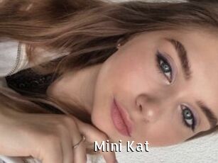 Mini_Kat