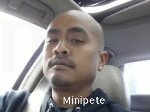 Minipete