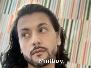 Mintboy