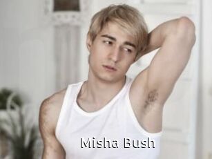 Misha_Bush