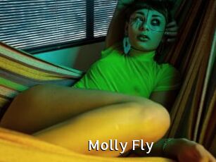 Molly_Fly
