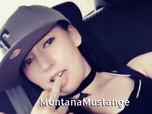 MontanaMustange