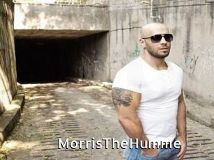 MorrisTheHumme