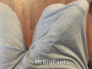 MrBigPants