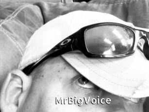 MrBigVoice