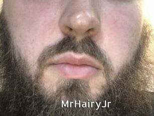 MrHairyJr