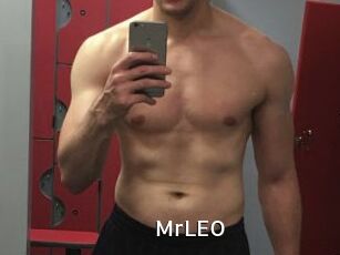 MrLEO