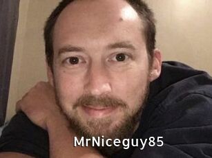 MrNiceguy85