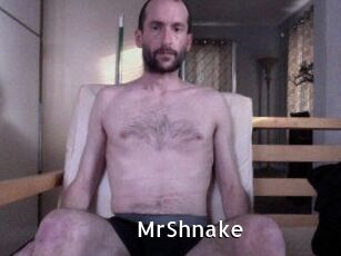 MrShnake