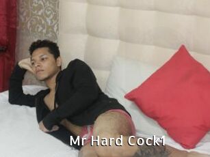 Mr_Hard_Cock1