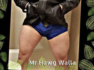 Mr_Hawg_Walla