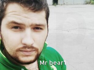 Mr_bear1