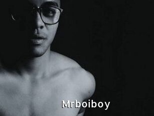 Mrboiboy