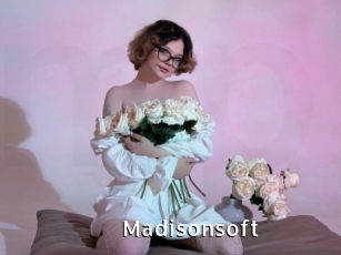 Madisonsoft