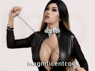 Magnificentcock