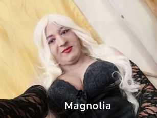 Magnolia