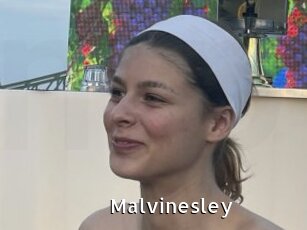 Malvinesley