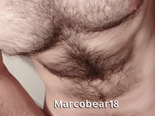 Marcobear18