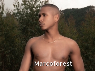 Marcoforest