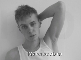 Marcuscobra