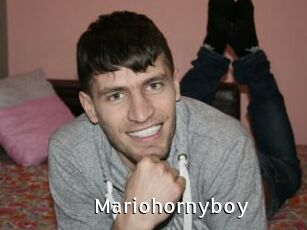 Mariohornyboy