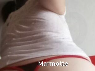 Marmotte