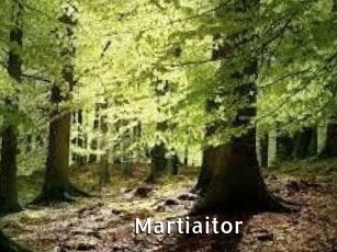 Martiaitor