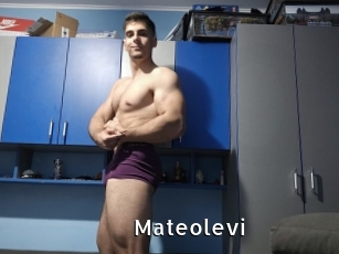 Mateolevi