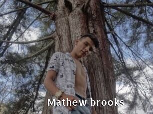 Mathew_brooks