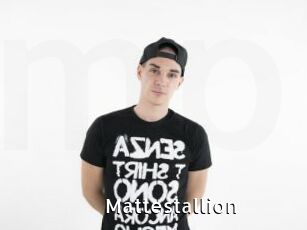 Mattestallion