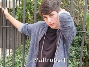 Mattrobert