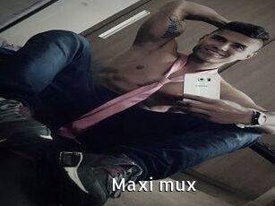 Maxi_mux