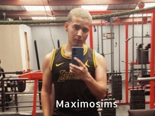 Maximosims