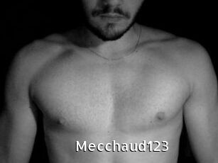 Mecchaud123