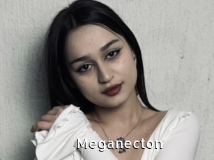 Meganecton
