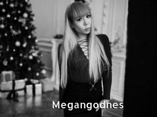 Megangodnes