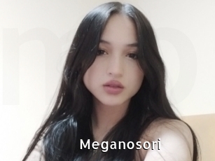 Meganosori