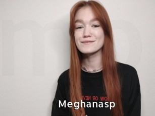 Meghanasp