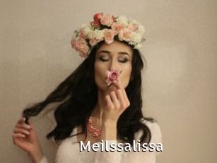 Meilssalissa