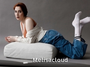 Melisacloud