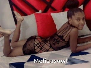 Melizasowl