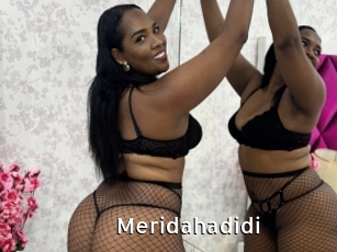 meridahadidi My Porno Stash