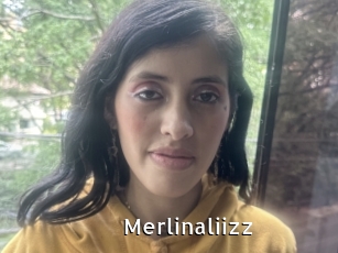 Merlinaliizz