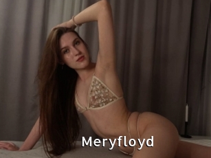 Meryfloyd