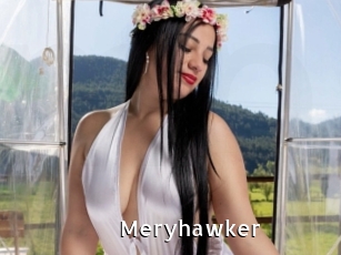 Meryhawker