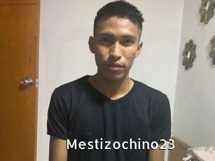 Mestizochino23